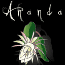 Ananda Yoga