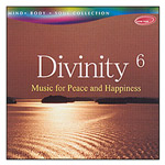 Divinity 6