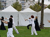 El bosc dels somnis - Foto 1