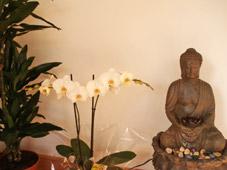 Centro de Yoga Lakshmi y Arjuna - Foto 1