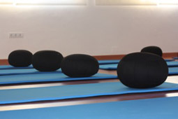 INSSAI. Centro de Yoga - Foto 1
