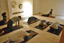 CENTRE DHAMMA - Foto 1