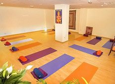 Gangadhara Yoga - Foto 1