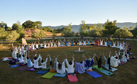 Witryh Yoga Esenio - Foto 1