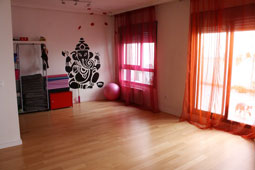 Yoga Silva - Foto 1