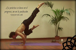 Asociación Internacional de Yoga y Ayurveda - Foto 1