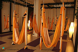 El Bosque. Espacio de yoga - Foto 1