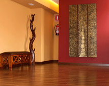 LIASHI centro de bienestar integral  - Foto 1
