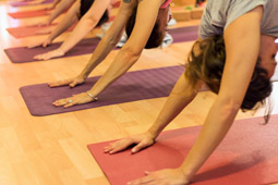 Centro y Escuela Prana Yoga - Foto 1