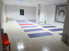 STEVIA HERBOLARIO - CENTRO TERAPIAS - Foto 1