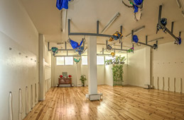 Yoga Aéreo Málaga- Yogâsana Estudio  - Foto 1