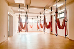 Koa Yogi - Foto 1