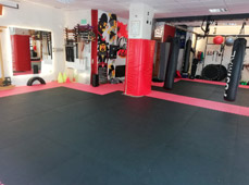 El Dojo - Foto 1