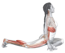 FISIOMYOGA CORUÑA - Foto 1