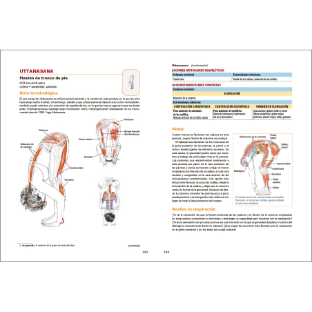 Anatomía del Yoga