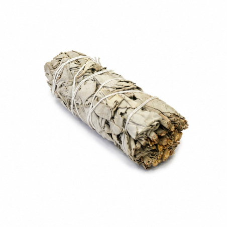Salvia Blanca de California | Sahumerio Natural para Purificar Espacios