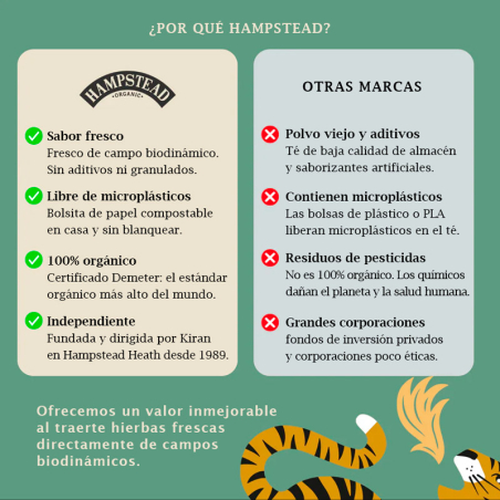 Té Verde con Jengibre Ecológico Hampstead | 20 Bolsitas