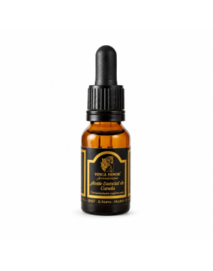 Aceite Esencial de Canela Natural 17 ml | Aromaterapia - Yogaes