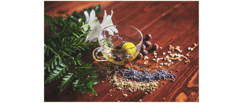 Productos Ayurveda | Bienestar Natural y Equilibrio Integral