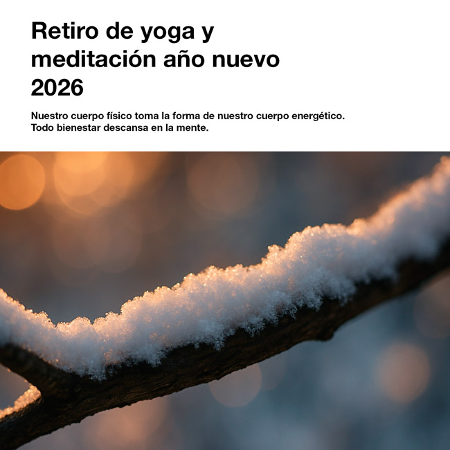 Retiro de Yoga y Meditacin Ao Nuevo 2026 + 1 mes seguimiento