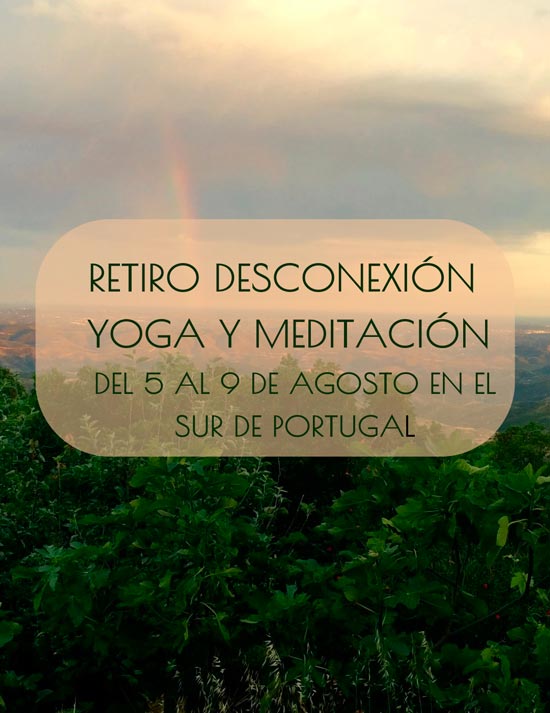 Retiro de Desconexi�n en Portugal