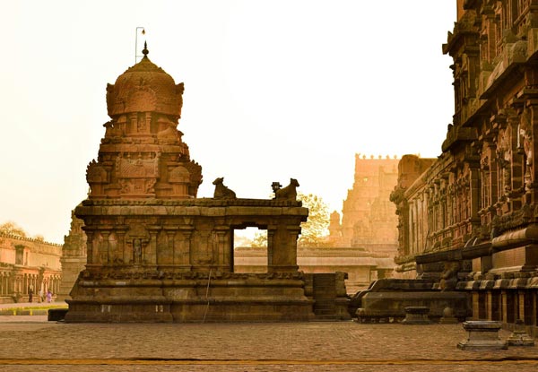 Viaje consciente de yoga a India del Sur