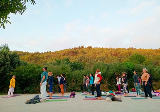 Formacin de Yoga Integral - Curso de profesor/a de yoga nivel avanzado