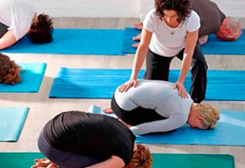 Formacin intensiva, diseo de clases de yoga integral con mayores