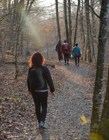 Despertar Sereno para iniciar el ao conscientemente.