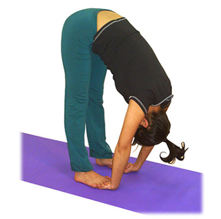 La cigüeña - PADAHASTHASANA