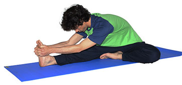 Cabeza sobre rodilla - JANU SHIRSASANA