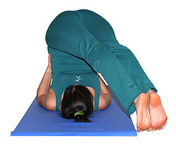 Arado con torsión - PARSVA HALASANA