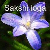Sakshi ioga