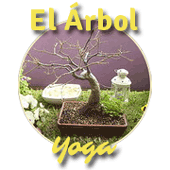 Yoga El Arbol