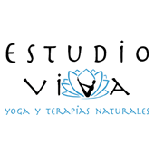 ESTUDIO VIVA YOGA