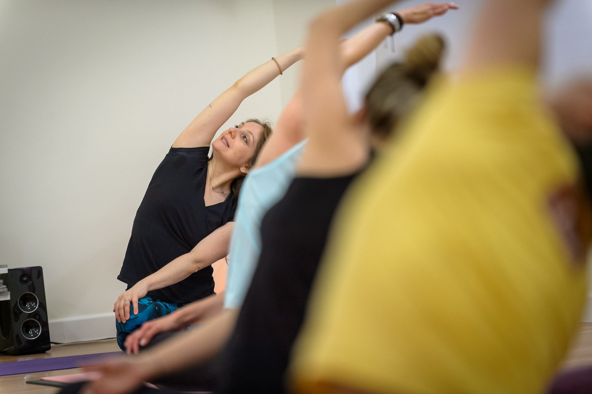 La estructura del Yoga