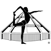 Logo de Yoga-Salud Yoga Iyengar® 
