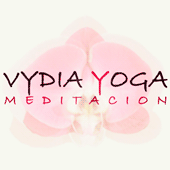 Logo de VIDYA YOGA MEDITACION