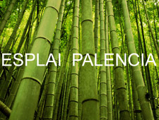 Logo de Esplai Palencia