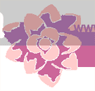 Logo de Shadak