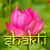 Logo de Centro de Yoga Shakti