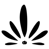 Logo de Flor de Tila