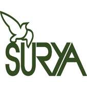 Logo de Centro Surya