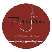 Logo de Centro y Escuela Prana Yoga
