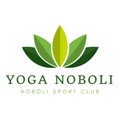 Logo de Noboli Sport Club