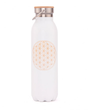 Botella Trmica de Acero inox 600 ml.